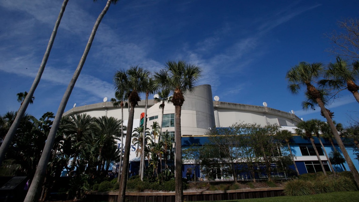 Fachada de Tropicana Field, estadio de los Tampa Bay Rays, rodeada de palmeras bajo un cielo despejado